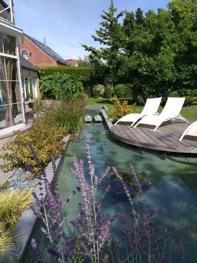 Le Mont Saint Roch , Chambre D'Hotes, B&B นิเวลส์ ภายนอก รูปภาพ